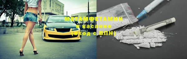 индика Осинники