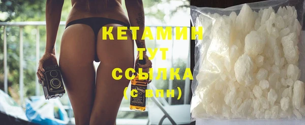 индика Осинники