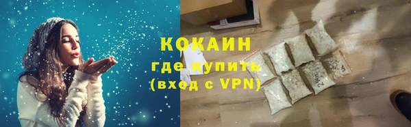 индика Осинники