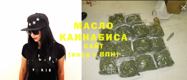 индика Осинники