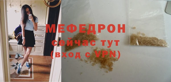 индика Осинники