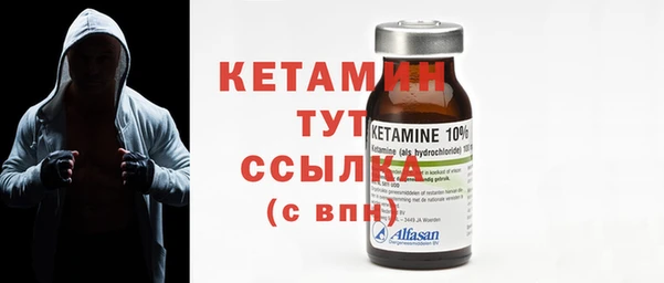 индика Осинники
