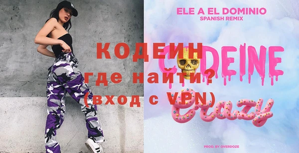 индика Осинники