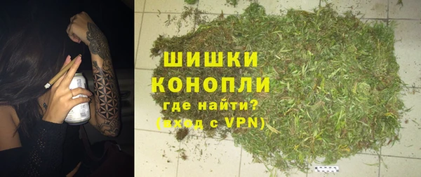 индика Осинники