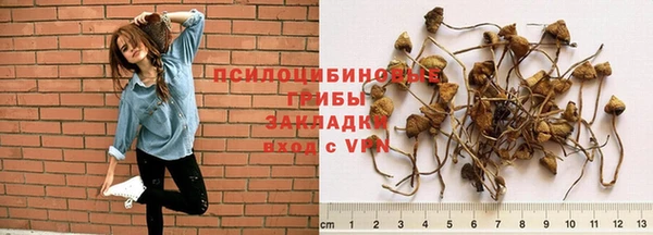 бошки Остров