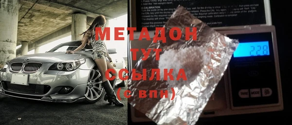 индика Осинники