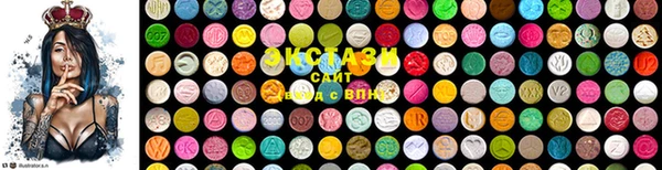 индика Осинники
