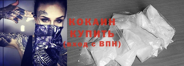 индика Осинники