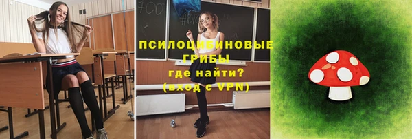 индика Осинники